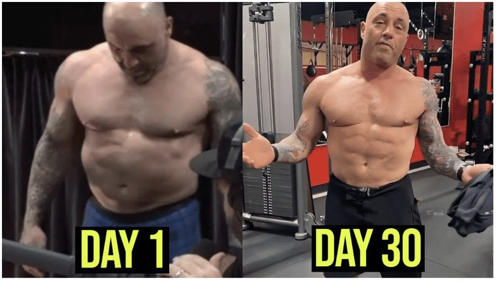 Joe Rogan Tried The Carnivore Diet. Here’s What Happened & Why It’s Important
