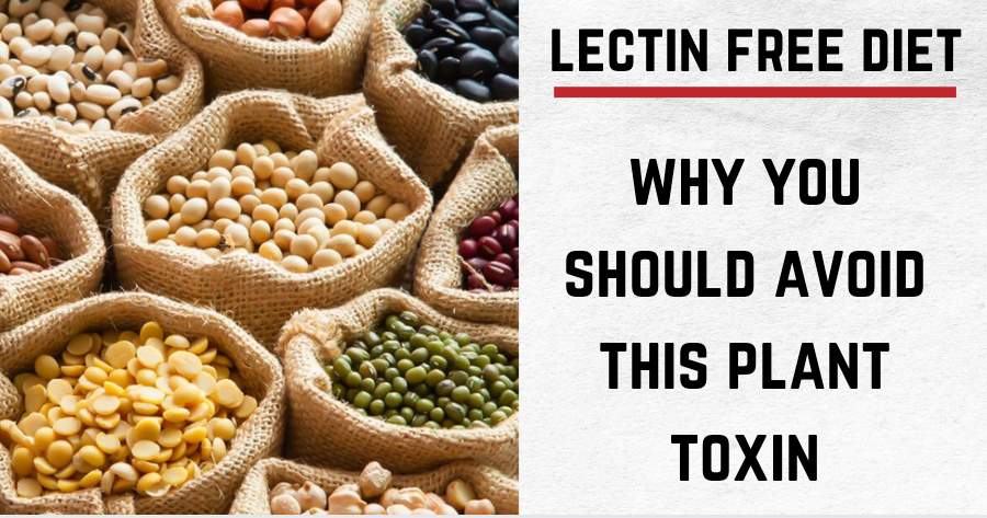 Lectin Free Diet: Why You Should Avoid This Plant Toxin