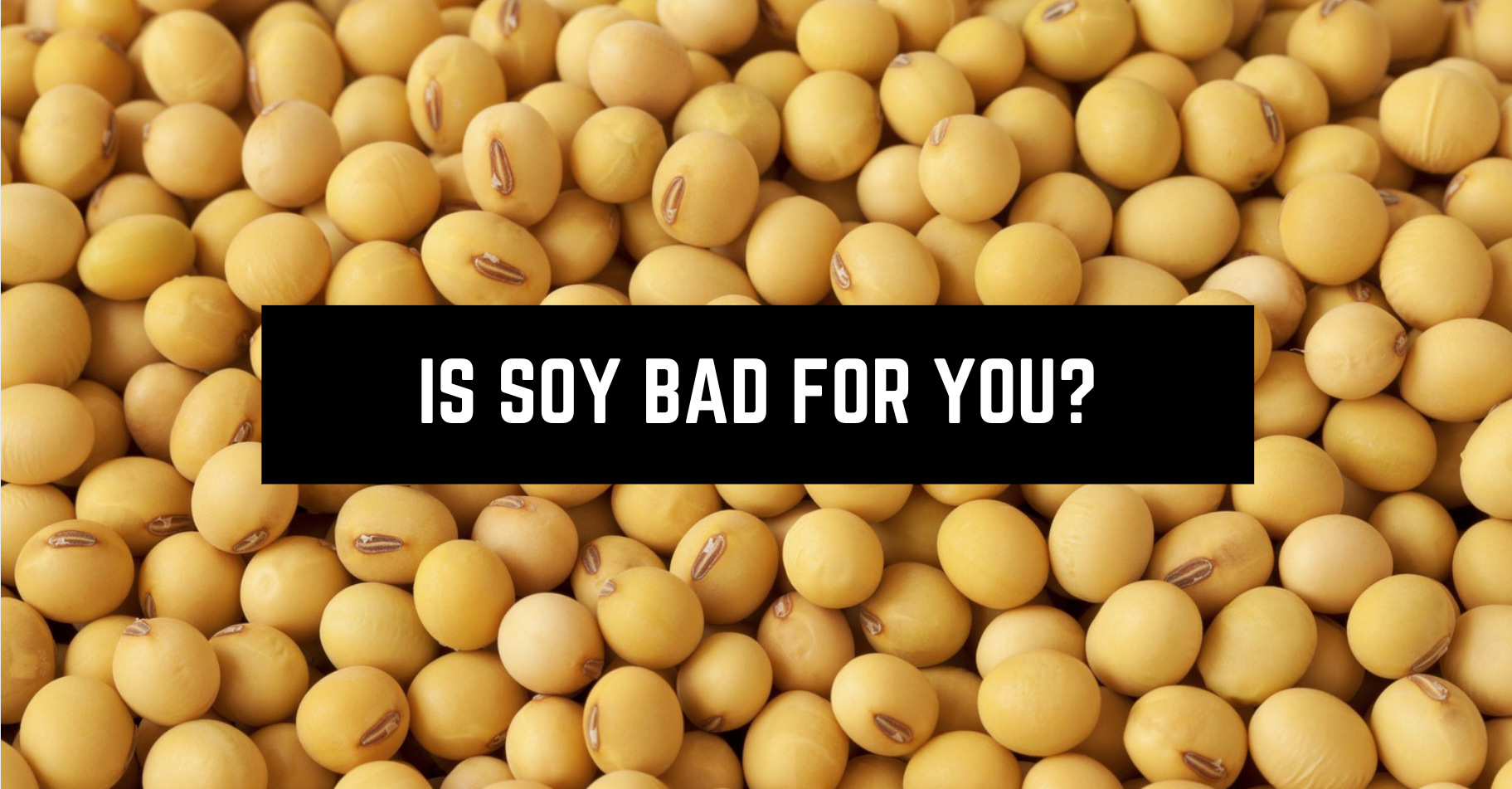 Is Soy Bad For You? Why You Should Stop Eating It Carnivore Aurelius