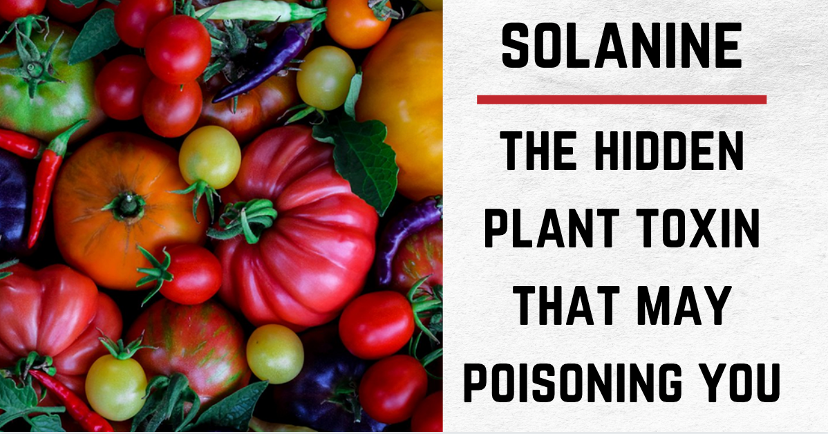 Solanine: The Hidden Plant Toxin That May Be Poisoning You – Carnivore ...