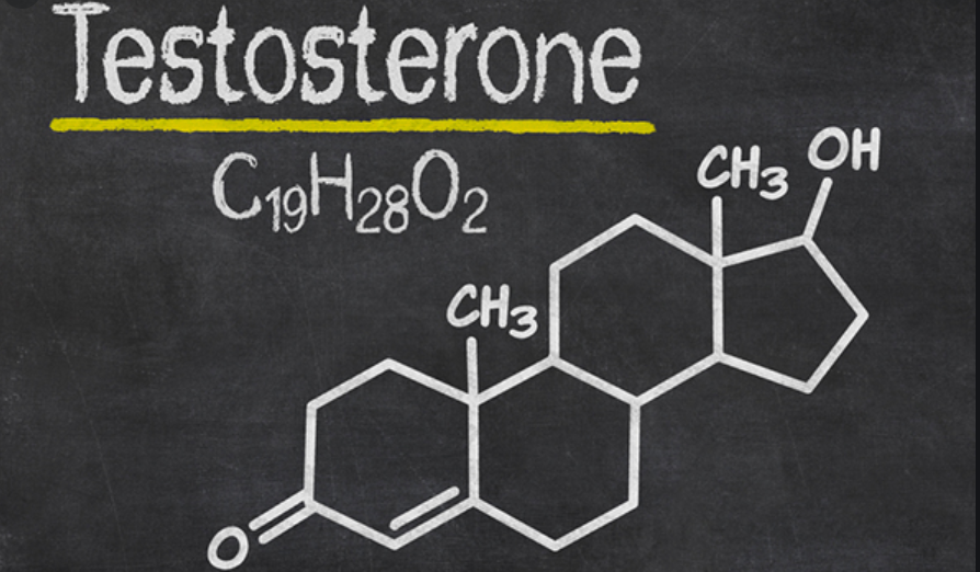 The Ultimate Guide to Increasing Your Testosterone