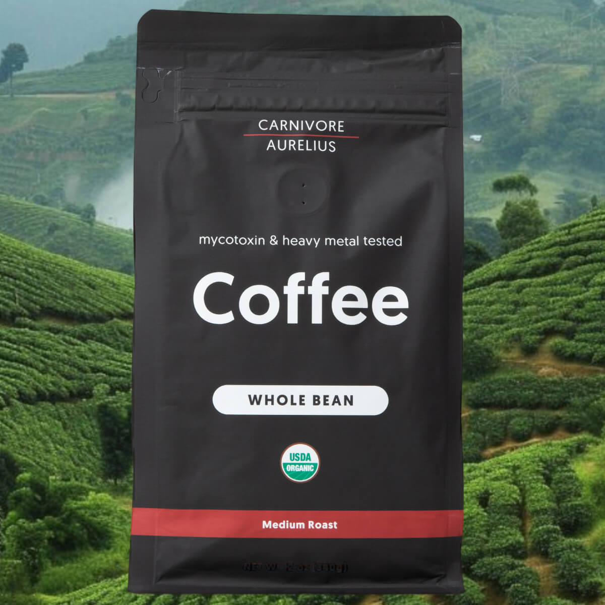 Beautiful view of Farm To Table Mycotoxin Free Coffee Beans
