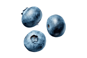 Blueberries