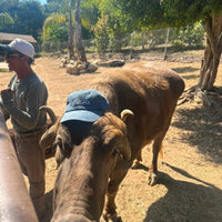 MOOO Hat