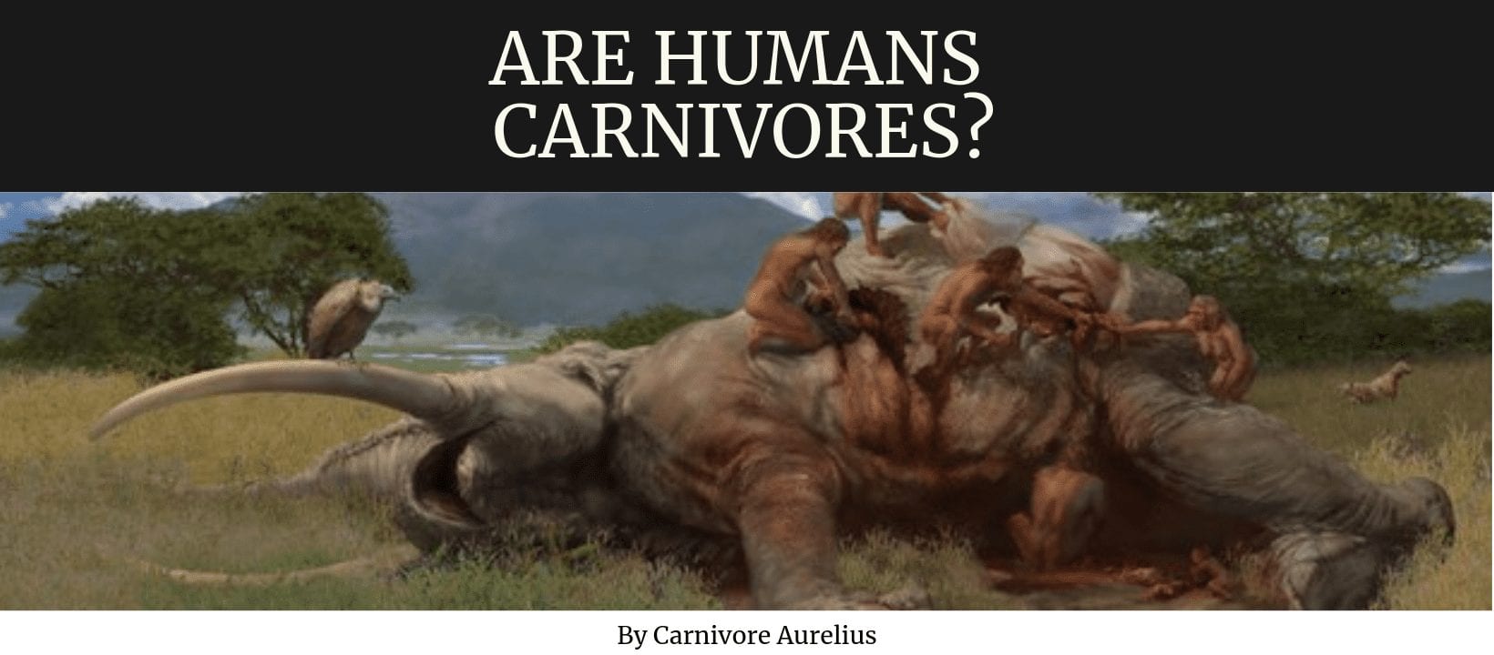 are-humans-carnivores-why-we-re-made-to-eat-red-meat