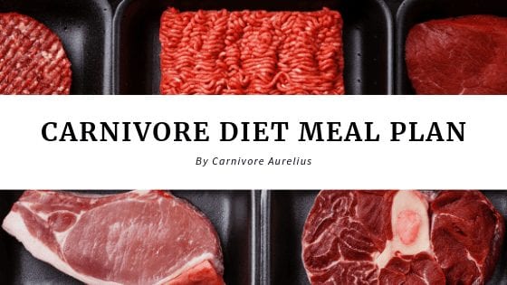 carnivore diet first few days
