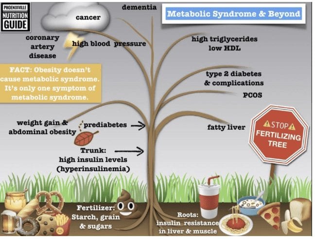 Chronic Diseases Pictured as a Tree with starch, grains and sugars as fertilizers and insulin resistance as the roots