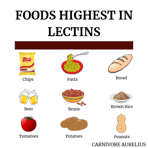 High Lectin Foods Chart