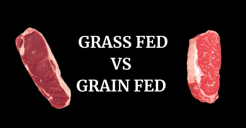 Grass-Fed vs Grain-Fed Beef: 10 Things You Need to Consider