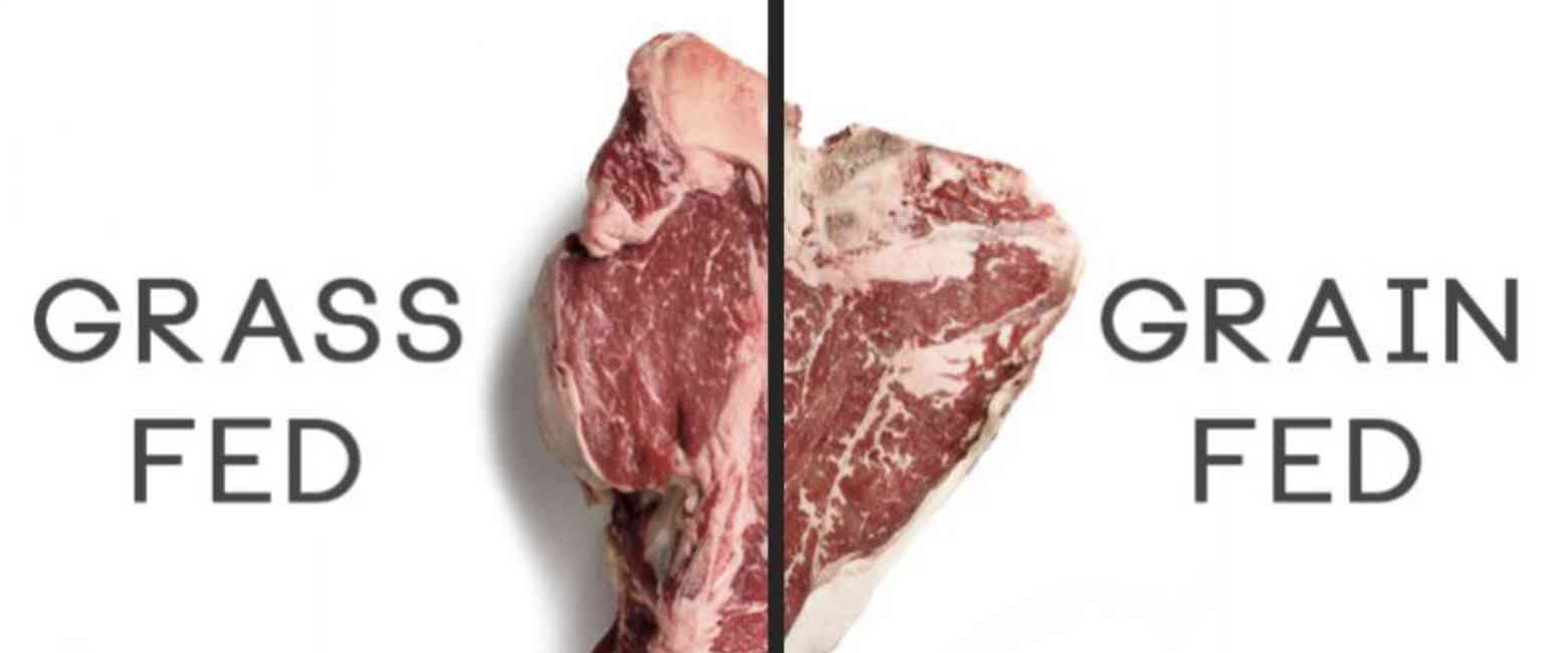 Grass-Fed Vs Grain-Fed Beef: 10 Things You Need To Consider