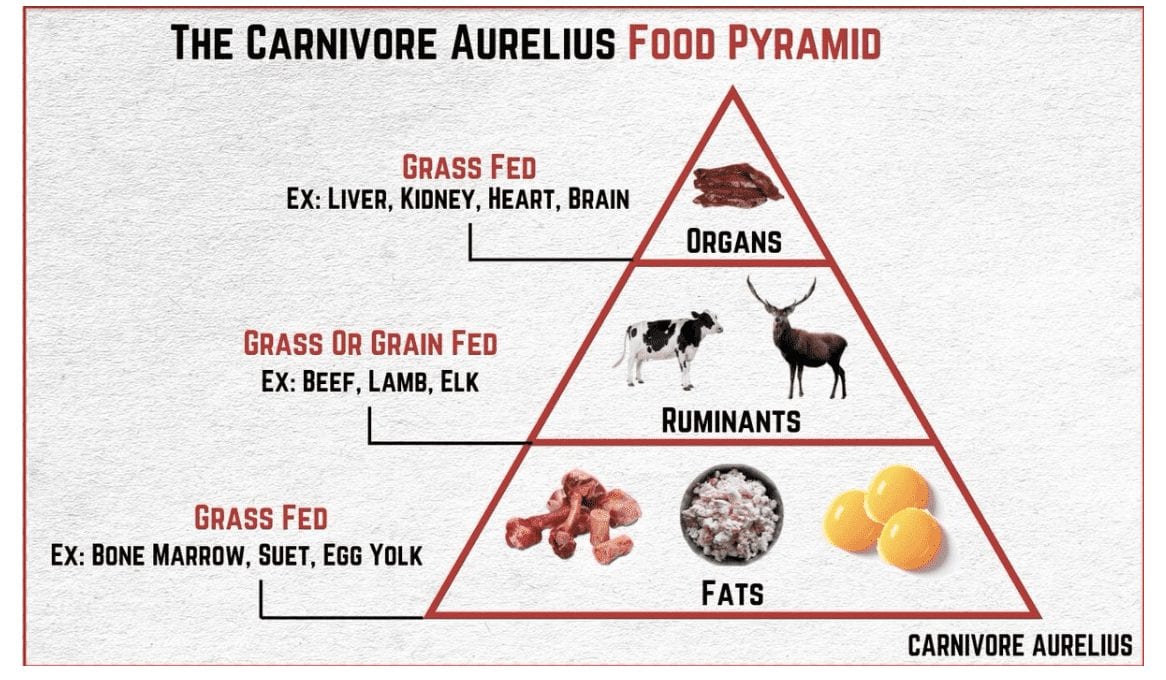 The Carnivore Aurelius Food Pyramid