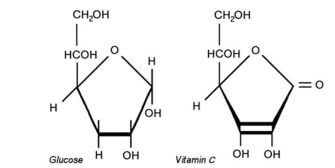 Molecular structure of glucose and vitamin C almost similar