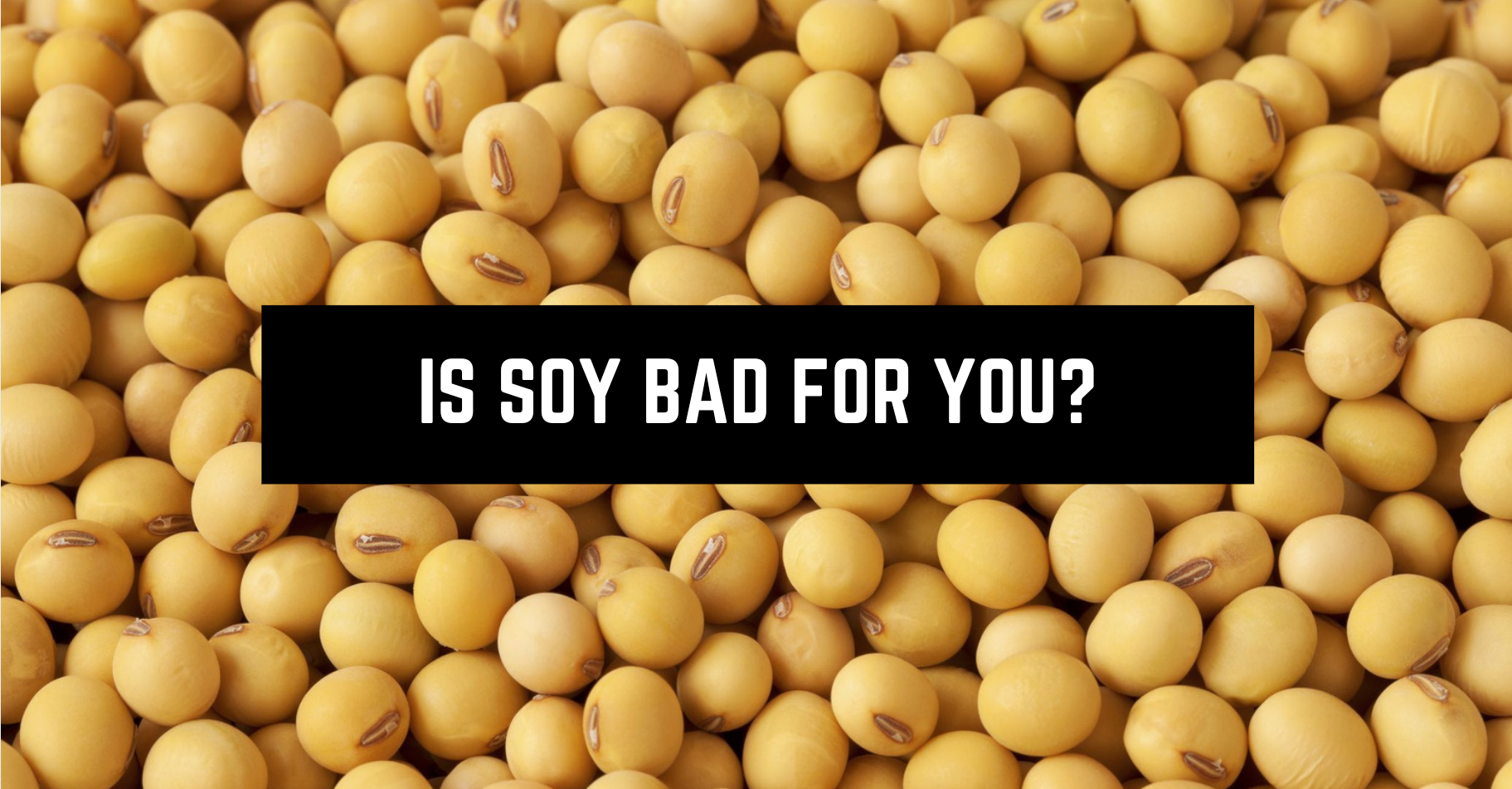 is-soy-bad-for-you-why-you-should-stop-eating-it